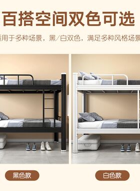 中伟型材学校公寓宿舍员工层铺寝室低铁艺钢制架子床