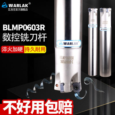 快进给双面铣刀杆BLMP0603R/TEBL06特固克 BLMP0603R刀片开粗铣面