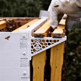 Frame Hive Holder养蜂塑料蜜蜂箱支撑架蜂箱支架 Bee 独立站新款