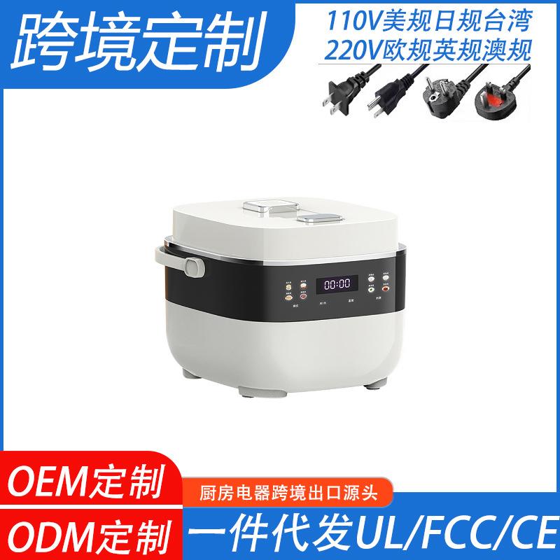 Amazon跨境电饭煲3L大容量多功能智能110V电饭锅台湾美国日本定制
