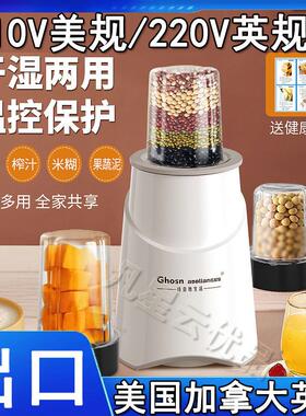 干湿两用磨粉机110v研磨机出口小家电动五谷打粉机辅食家用多功能