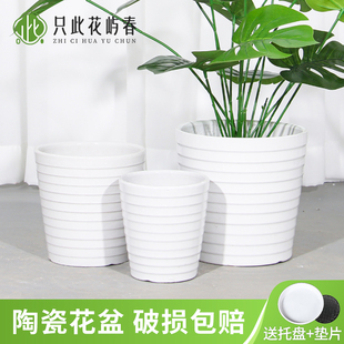 陶瓷花盆大号特大号带托盘多肉花盆欧式 简约白色绿萝客厅阳台通用