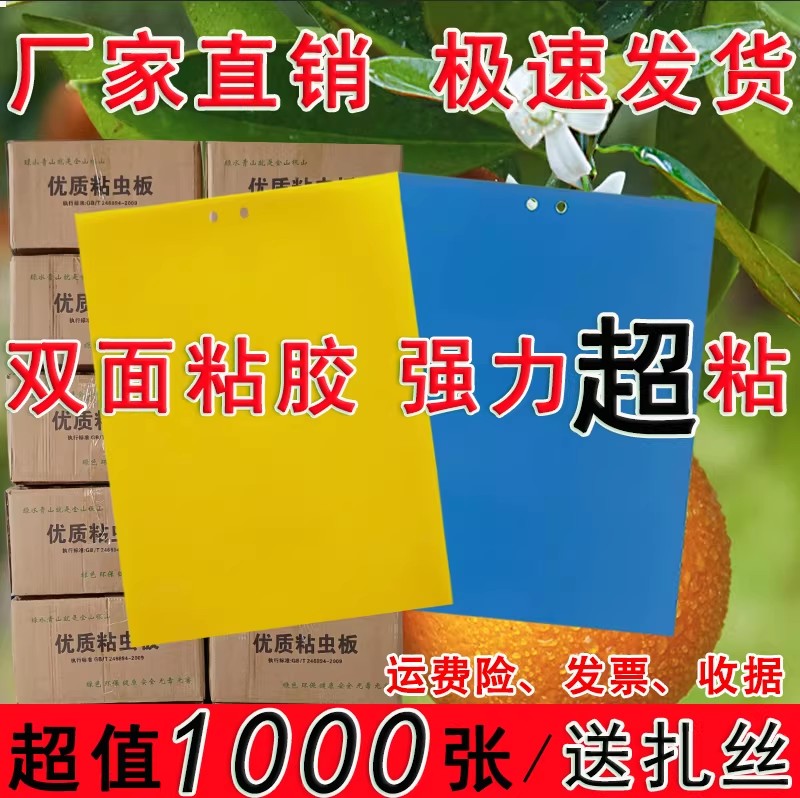 粘虫板黄板双面诱虫板蓝板蓟马贴飞虫粘粉虱杀小黑飞大棚果园茶园