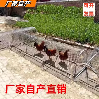 折叠式鸡笼子跑道隧道家用室外大号型塑料加厚养走地鸡围栏网专用