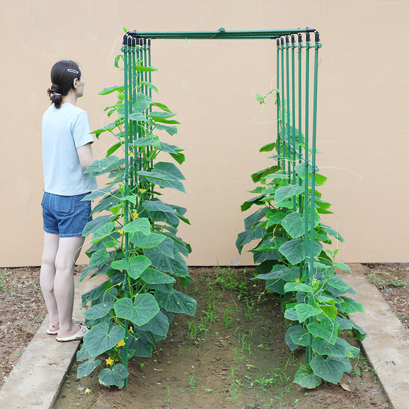 黄瓜爬藤架种菜架豆角架庭院子葡萄西瓜支撑杆植物花架瓜棚搭架子