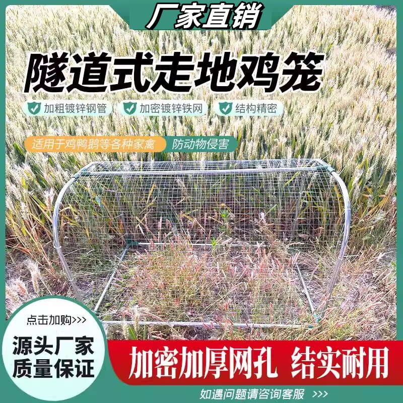 隧道式走地鸡笼散养隧道农场户外溜达鸡笼子庭院家用铁网鸡笼兔笼图片