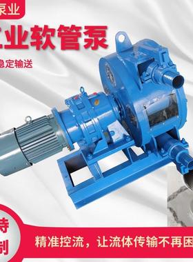 RGB软管泵耐腐蚀泡沫混凝土悬浮颗粒纸浆挤压蠕动泵变频高扬程