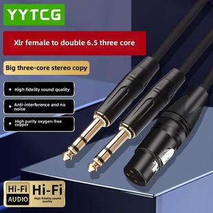 YYTCG 卡侬公母转双6.5大三芯XLR卡农线6.35mm一分二覆制型音频线