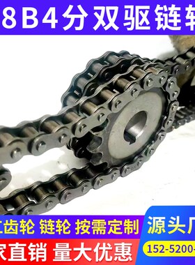 08B4分双驱链轮假双排单挂10齿30齿25齿18齿成品孔SP40SD-18-N-20