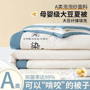 A类母婴级泡泡纱水洗棉夏被大豆蛋白无染夏凉被2025新款空调薄被