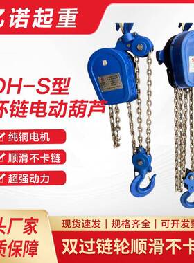 跨境瑞玛特动力环链电动葫芦DH-S型80V链条式起重机现货重型