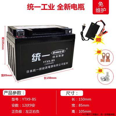 摩托车干电瓶川崎小忍者Ninja250 300 400 600ZX-6R Z400CC蓄电池