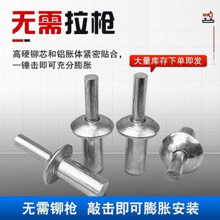 铝铆钉击芯锚钉M5圆头锤击铝铁铆钉开花膨胀钉子母花瓣铆钉 敲击式