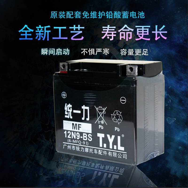 统一力TYL125机车电瓶12V9钻豹太子跨骑车通用12v蓄电池12N9-BS