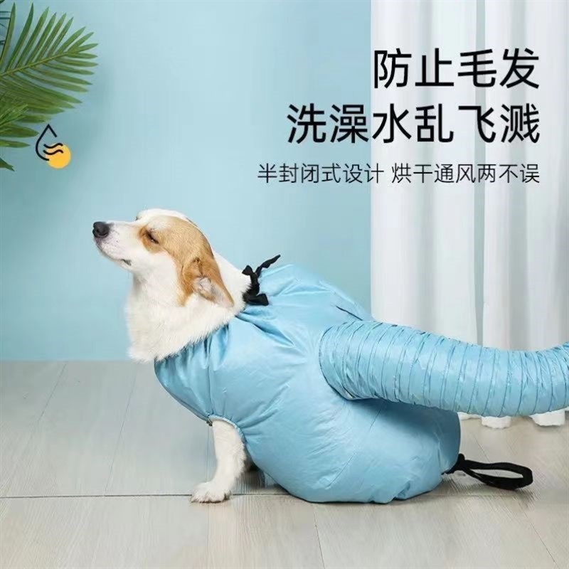 宠物冬天洗澡烘干神器狗狗烘干袋箱猫咪吹毛烘干机中大型犬吹水衣