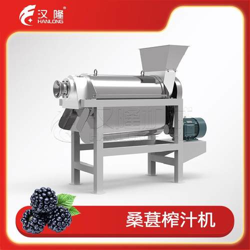 厂家直销出汁率高的小型工业榨汁机桑葚螺旋榨汁机水果蔬菜打汁机