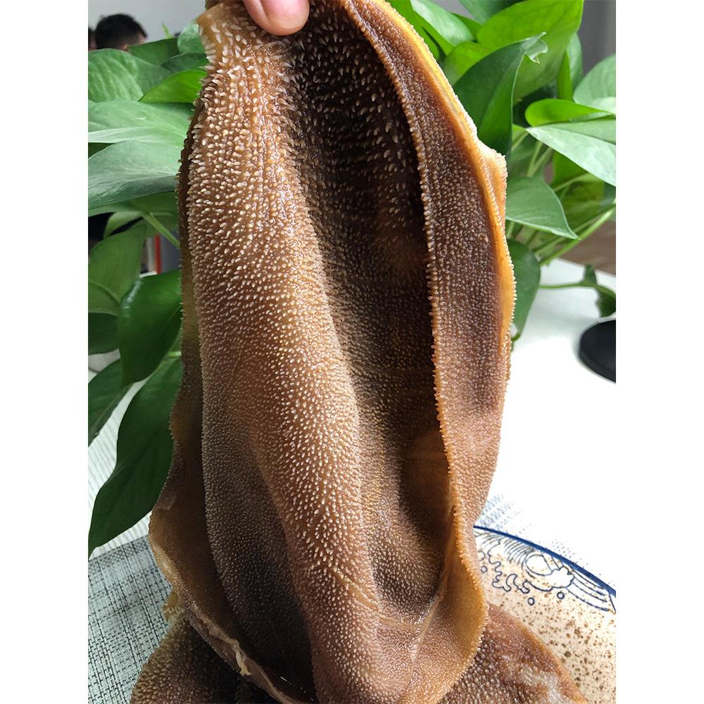 【掌柜推荐】毛肚5斤大叶片爽脆百叶火锅新鲜冷冻牛毛肚商用