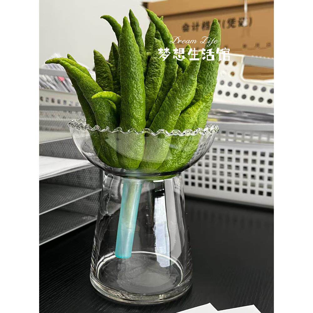 玻璃花瓶水培器皿观赏插花创意佛手柑花瓶水养轻奢摆件养花容器