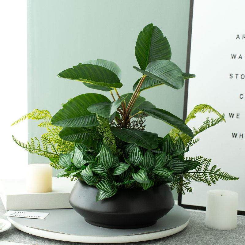 高品质彷真花假绿植高级感桌面摆件客厅餐桌电视柜玄关装饰品盆栽,家居饰品,仿真花/假花,淘宝优惠券,粉丝福利购,淘宝优惠卷