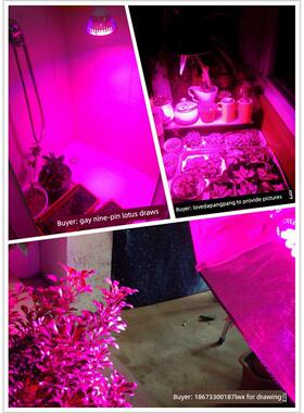 北利盛红蓝组合Led植物射灯室内花卉栽培用灯座补光多肉绿色植物