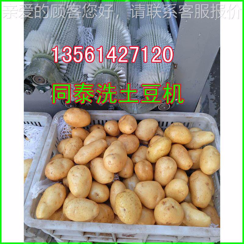 新款BQX-2200土清豆土清洗机干洗枣豆机萝卜红薯大山药橙子洗设备