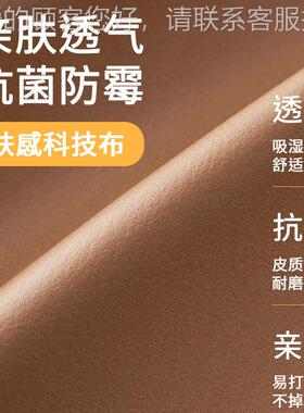 吉沙与北欧风格现代简约科技沙布小户型布艺人发直排三XCZ109布位