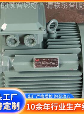 电机电YVP-20L1-220223变频调速低压三相异步动机