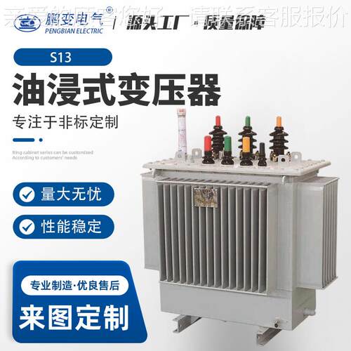 鹏电气 油变浸式变压器SS11-M-3011-M-300/1配电S11-30 10K特V殊