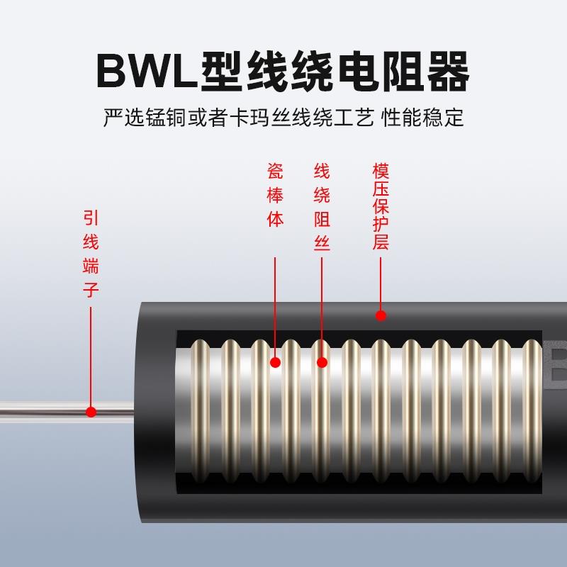 EE/BWL高精度低温漂精密无感采样电阻0.25W0.5W1W2W3W5W10瓦5R欧