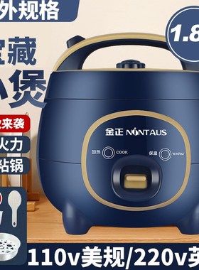 海外11b0v220v电饭煲煲汤小型1到2人多功能智能电煲锅迷你小电饭