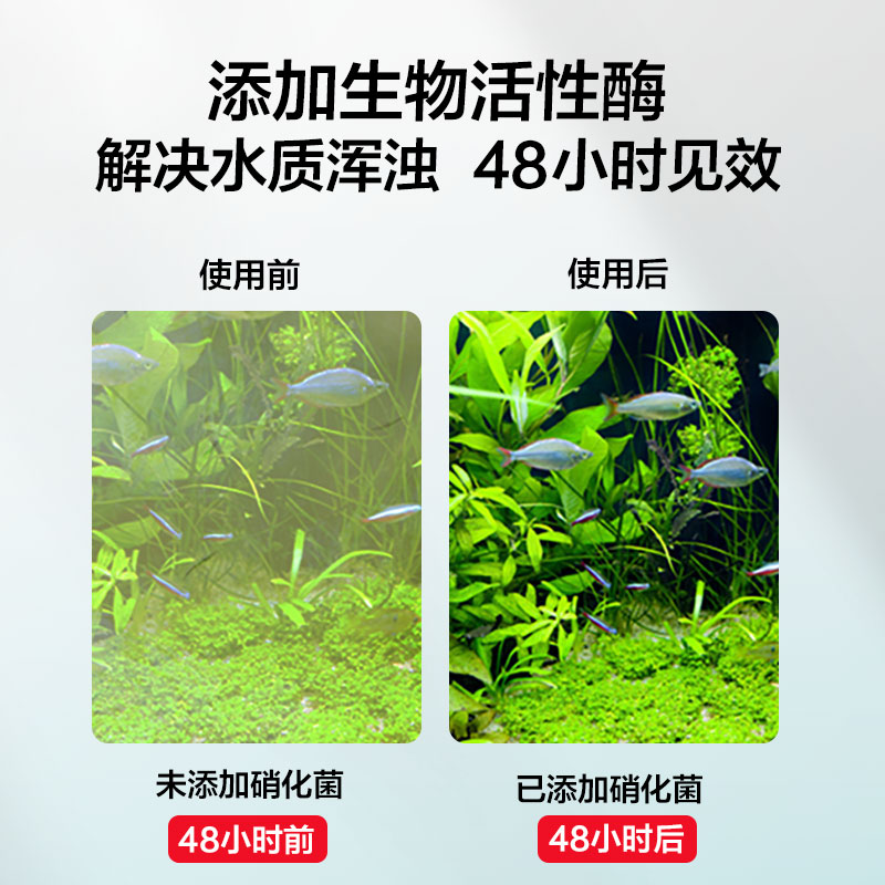 创宁硝化菌消化养鱼水质净化剂净水稳定剂硝化鱼缸用