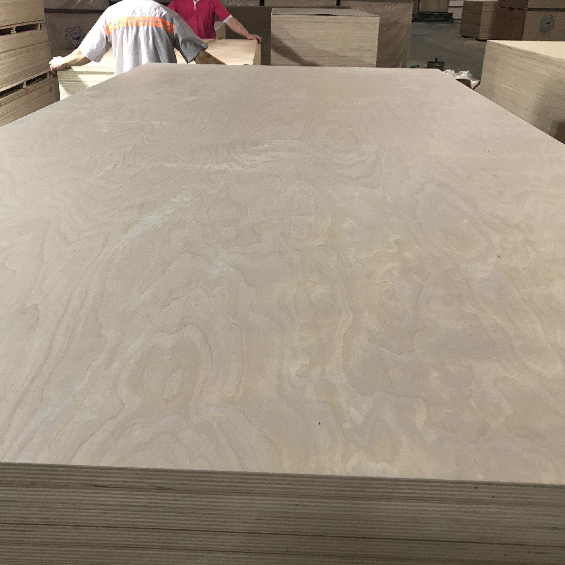 1220*2440*18mm原色双面C级E0胶全桦木多层板