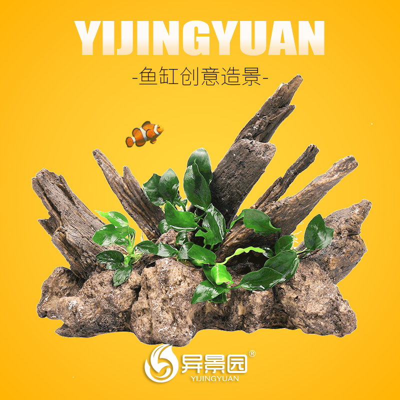 鱼缸装饰假山懒人造景石头杜鹃根莫斯树森林水草植物仿真沉木骨架
