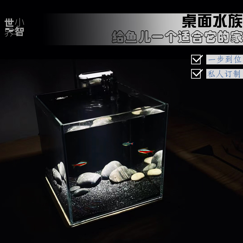 小智世界迷你小型桌面精致超白造景鱼缸全套定制水族箱20方石景缸