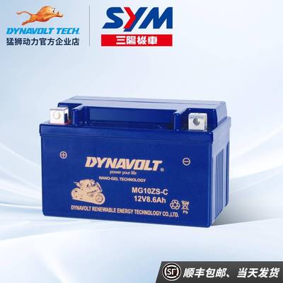 三阳巡弋150/X 巡戈180巡戈300 Z300九妹JOYMAX RV250 RV180 电瓶