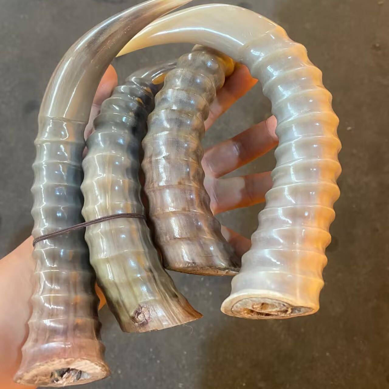 外部羚羊高品质山羊角真丝山羊角全角创意礼品饰品