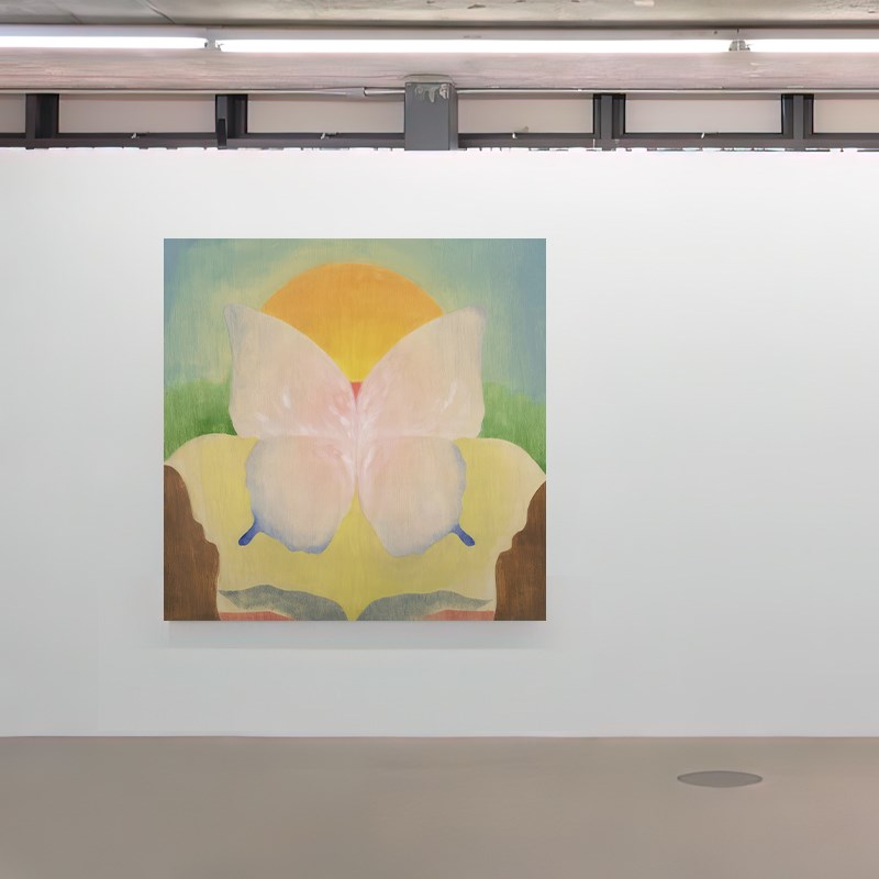 umbluela 简约现代装饰画卧室方形蝴蝶创意玄关小众艺术个性挂画图片
