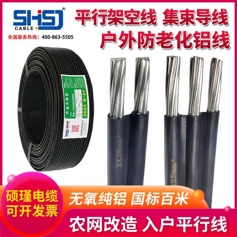 户外铝线国标电线家用2/3芯6 10 16 25平方电缆架空平行集束导线