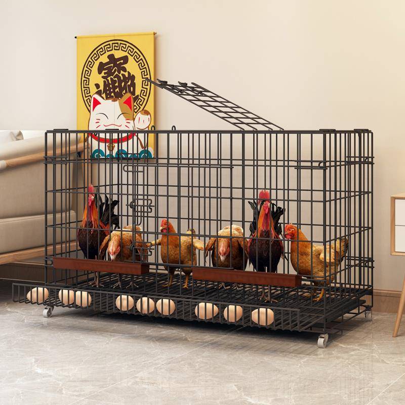 鸡笼子家用养鸡笼大号特大号自动清粪折叠养殖笼鸡舍铁丝网鸭狗笼