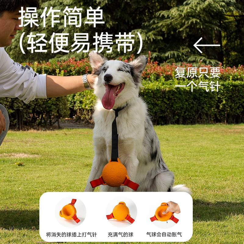 狗狗玩具球边牧自嗨拉布拉多柯基训练橡胶球耐咬漂浮宠物用品