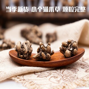 【免费试吃50克】纯野生猫爪草正品水洗无硫猫抓草配夏枯草郁金