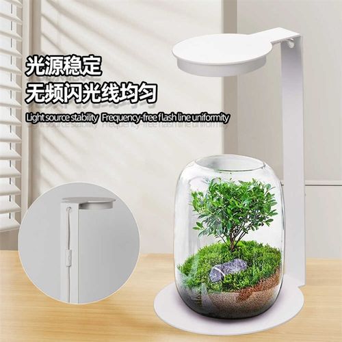 智能磁吸灯LED植栽灯微景观灯小生态瓶小植物造景桌面迷你灯摆件