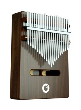 oill歌芮拉拇指琴卡林巴琴音手指琴钢琴女生迷你手指li