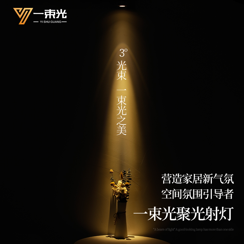 一束光聚光射灯小角度度茶室氛围客厅嵌入式家用餐厅led洗墙筒灯