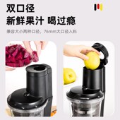 全自动电动榨汁小型汁渣分离水果汁原汁炸汁商用打汁