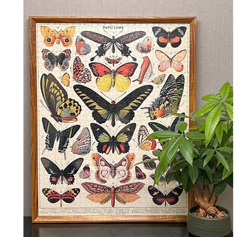 Cavallini植物花卉蝴蝶拼图框1000片500片架裱框70*55*35画框相框