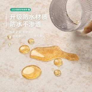 级沙发茶几耐脏免洗卧室地垫大面积全铺 长促地毯客厅纯色2024新款
