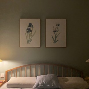 雷杜德手绘卉图谱 旁白艺术印画装饰画 兰鸢尾图鉴复古