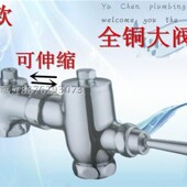 铜卧式 手按延时自闭冲水手压大便冲洗蹲便厕所冲便器伸缩