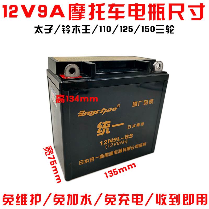 适摩托车干电瓶大地鹰王DD125EDD150EDD250DD350E巡航太子蓄电池